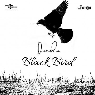 Black Bird